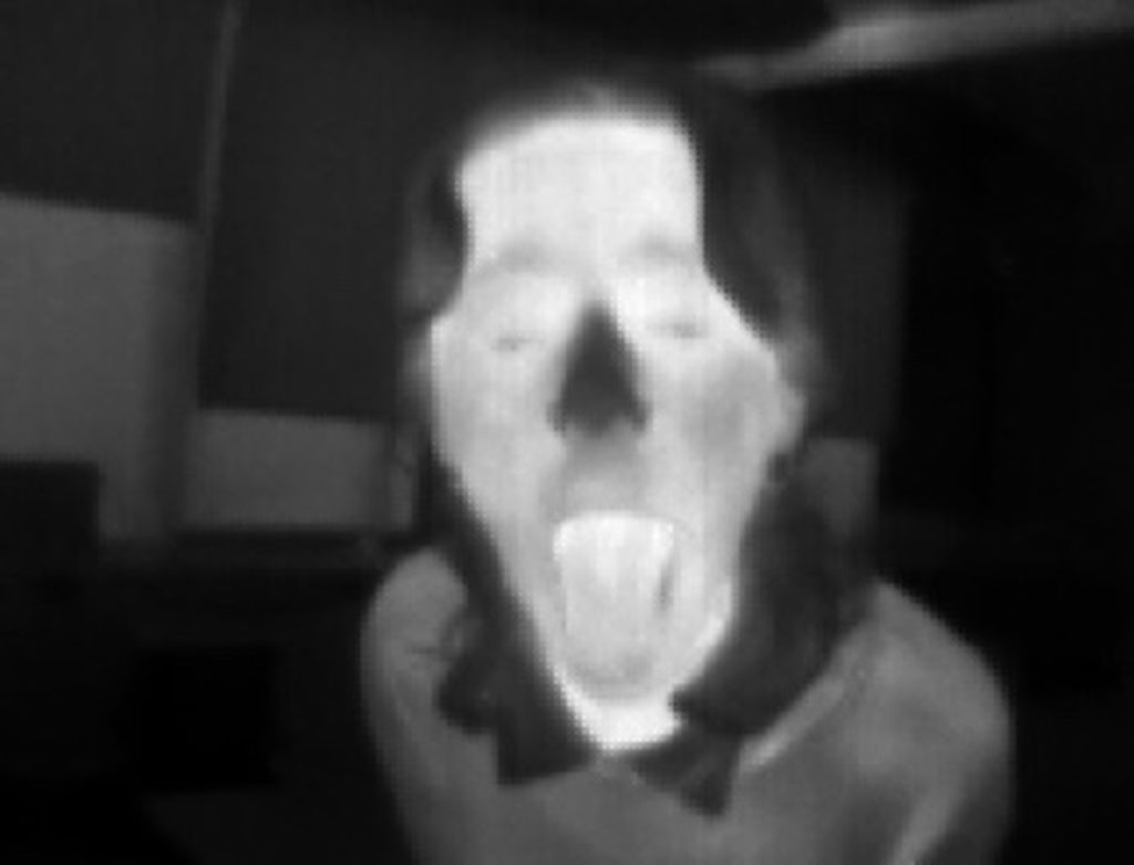 thermal portrait