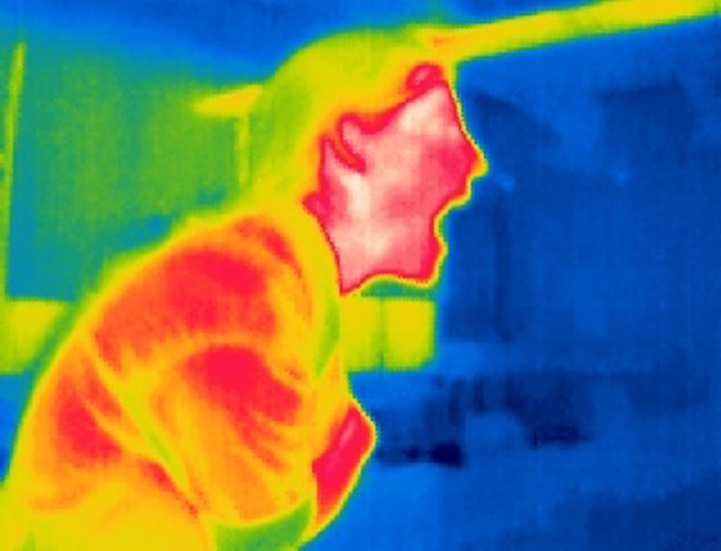 thermal portrait