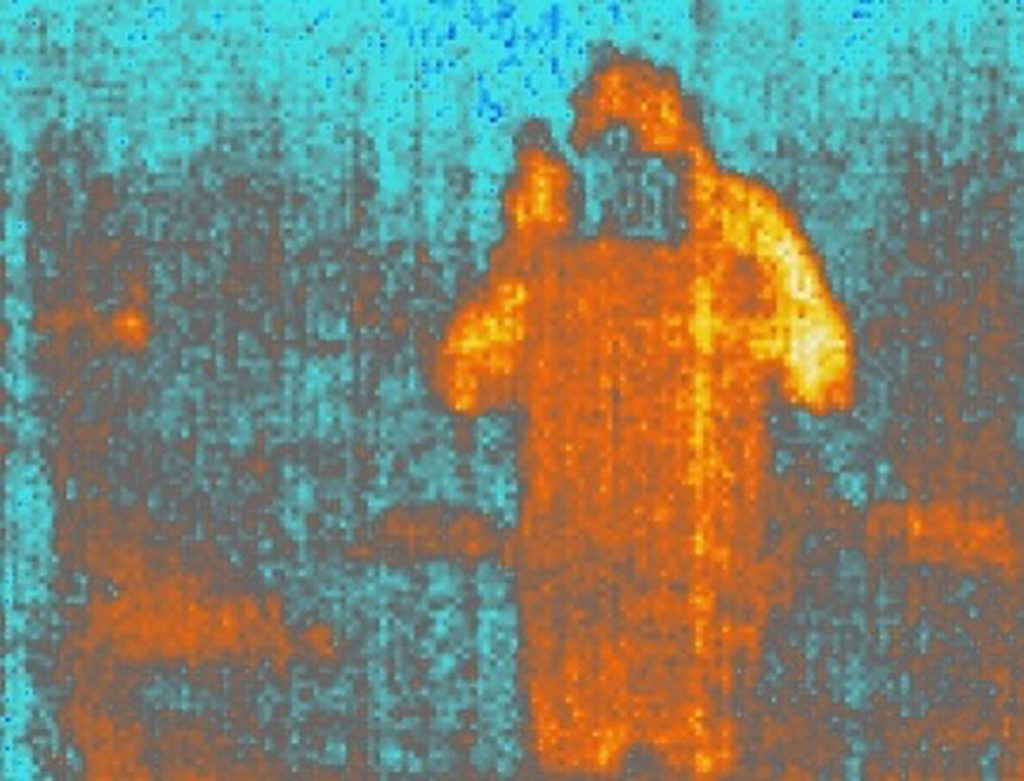 thermal portrait